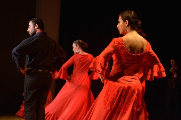 flamenco 3