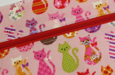 trousse diy coudre